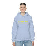 Cymbals - Only 2 - Hoodie