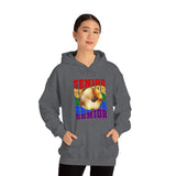 Senior Rainbow - Cymbals - Hoodie